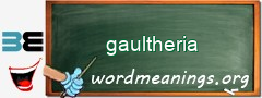 WordMeaning blackboard for gaultheria